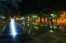 DSC02229
