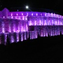 DSC02721