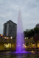 IMG 0767