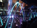 DSC 0231