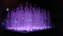 IMAG0597