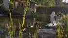 5 naturnahe Anlage