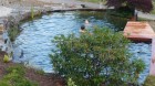 4 Schwimmteich Anlage