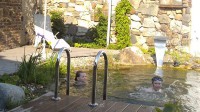 3 schwimmteich Anlagen