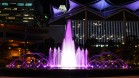 DSC08299