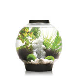 biOrb CLASSIC 30 LED zwart biOrb CLASSIC 30 LED zwart