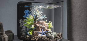 biOrb FLOW LED