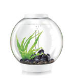 biOrb CLASSIC 60 LED wit biOrb CLASSIC 60 LED wit
