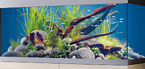 Aquarium furnishing
