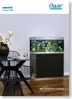 Aquaristik | Katalog 2019
